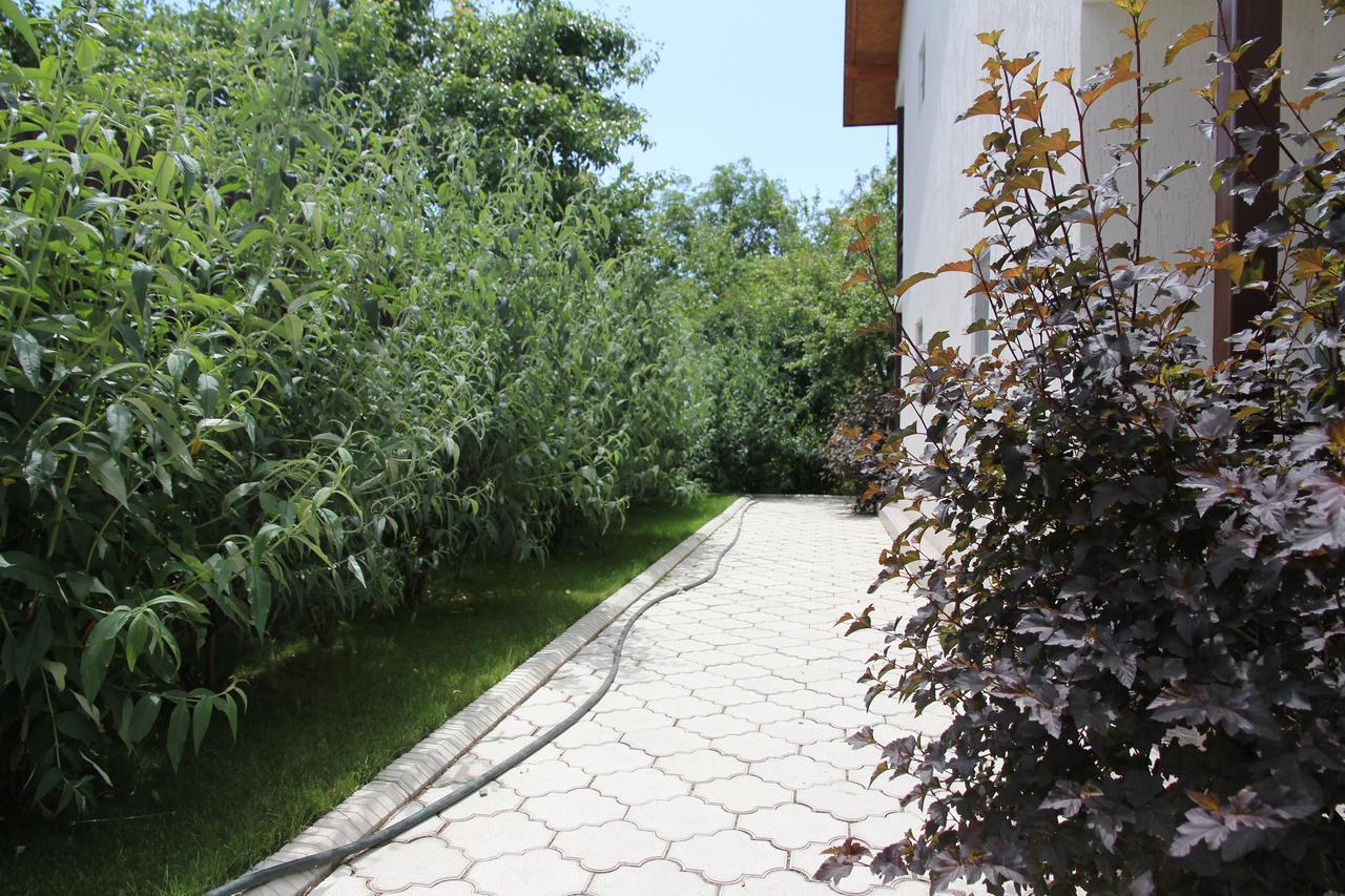 Guest House Leto Dolinka Zewnętrze zdjęcie
